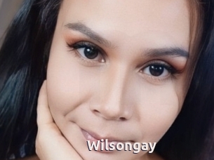 Wilsongay