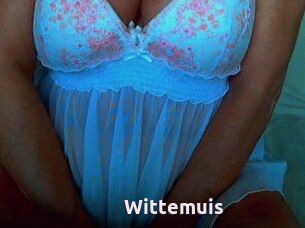 Wittemuis