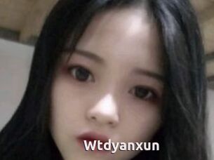 Wtdyanxun