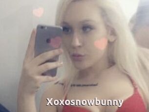 Xoxosnowbunny