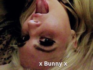 _x_Bunny_x_